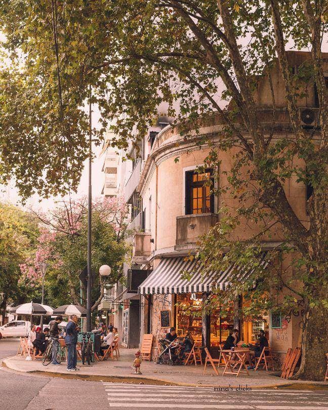 Vista editorial de Palermo, Buenos Aires.